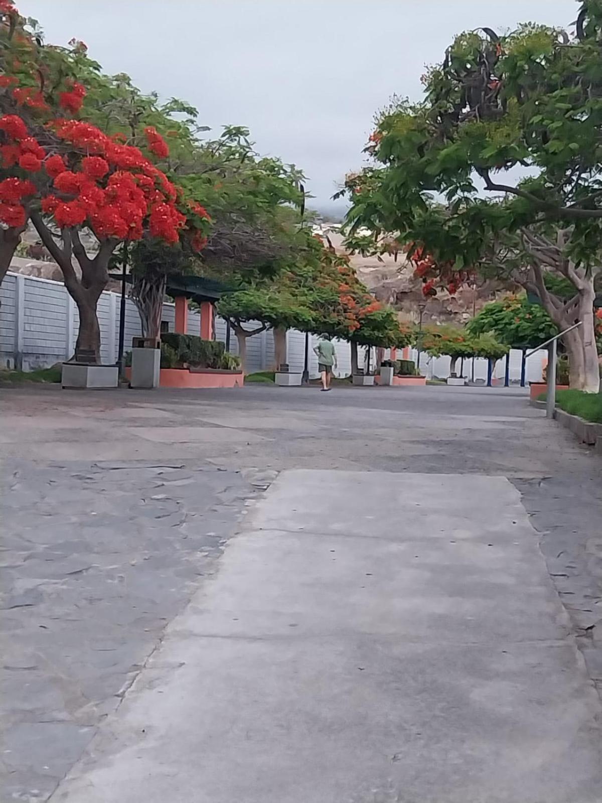Mi Casita Tenerife Sur Free Wifi E Ac Arona  Luaran gambar